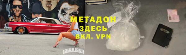 прущие грибы Горняк