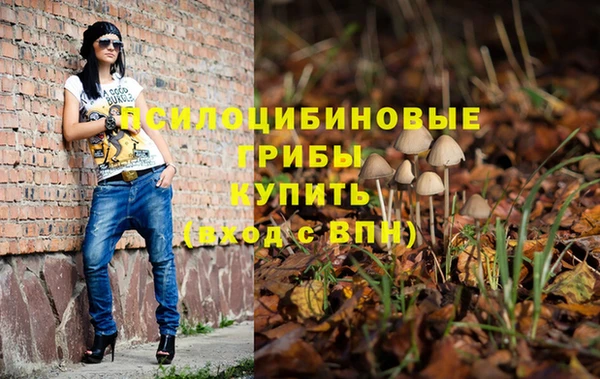 а пвп мука Магадан
