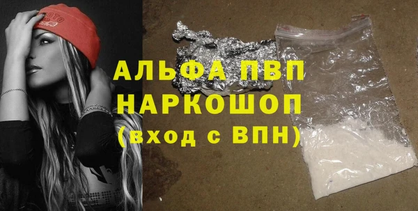 прущие грибы Горняк