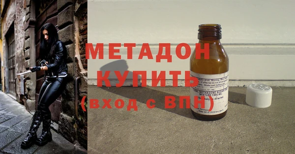 прущие грибы Горняк