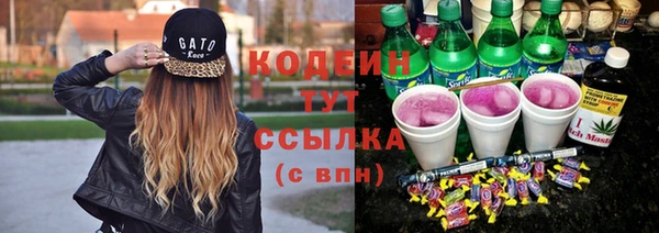прущие грибы Горняк