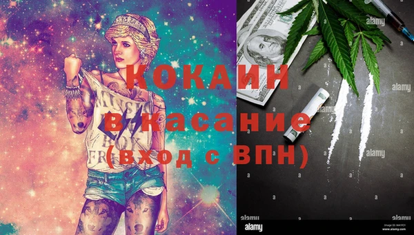 прущие грибы Горняк