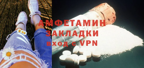 прущие грибы Горняк