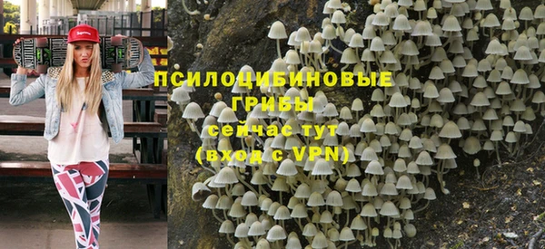 прущие грибы Горняк