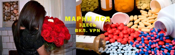 прущие грибы Горняк