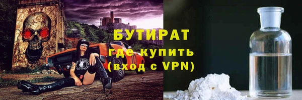 прущие грибы Горняк